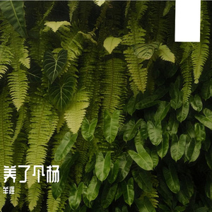 在年少的光里漫步