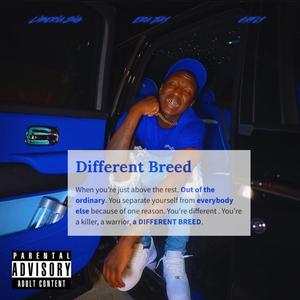 Different Breed