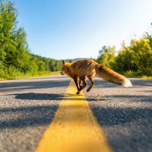 いつでも　そばにいるよ