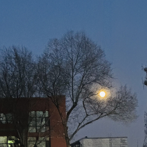 从前满心皆是你，如今余生只予她