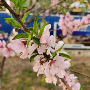 那就一直在一起吧