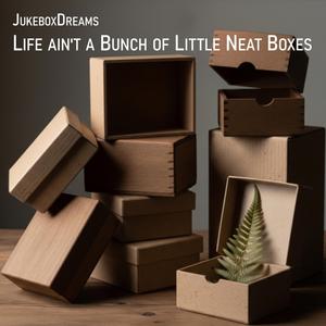 Life Ain't A Bunch Of Little Neat Boxes
