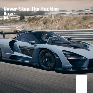 Never Stop The ****ing Rava-I LIKE（G&S remix）