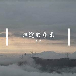 归途的星光