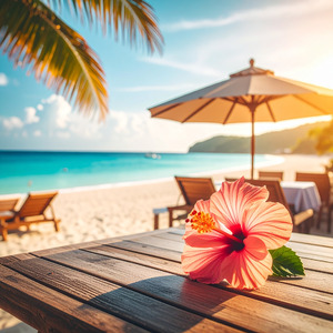 穏やかな午後の時間