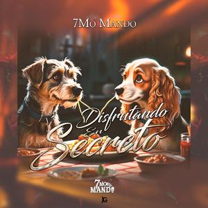 Disfrutando En Secreto