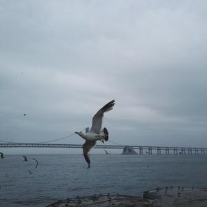 M.R.Y麦尔彦-最烈的酒最猛的烟 (抖音DJ原版)（M.R.Y麦尔彦 remix）