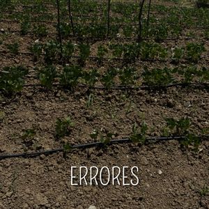 Errores