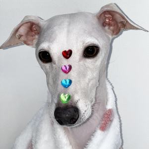 검은콩 세 개 (Inst.)