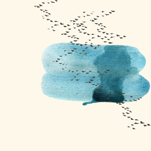 Murmuration