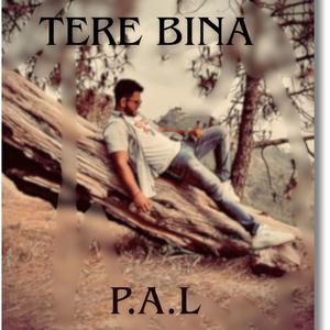 Tere bina