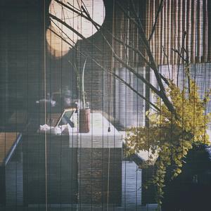 山丹丹花开红艳艳 (笛子轻音乐)