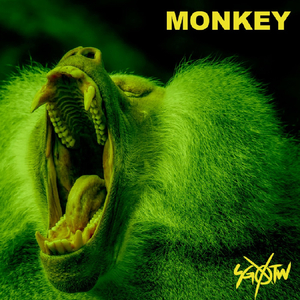 Monkey (Original Mix)