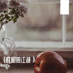 会讲故事的八哥