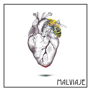 Inseguro por Pasión