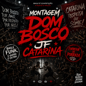 Montagem Dom Bosco JF Catarina