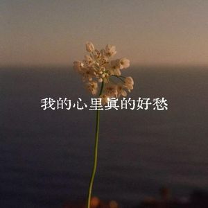 我的心里真的好愁