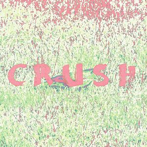 一见钟情（CRUSH）