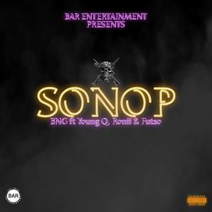 Sonop