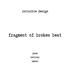fragment of broken beat