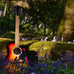 We Need More Rights (Live from The Forest 5 May 2024)