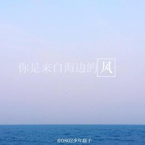 你是来自海边的风
