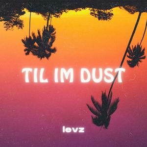 Til Im Dust