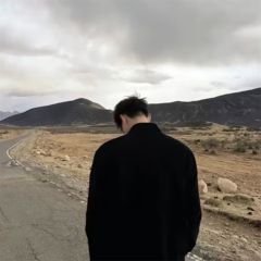 独帜入渊深未知