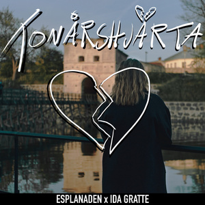 Tonårshjärta