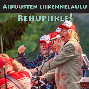 Aikuusten liikennelaulu