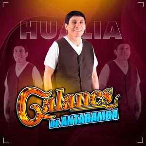 Antabambina de Ojos Negros