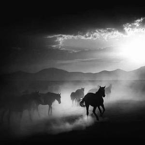 O Sao Be Không Lak（CHENYI Bootleg)