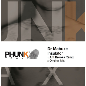 Insulator (Ant Brooks Remix)