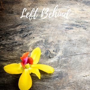 Distant Thunderstorm