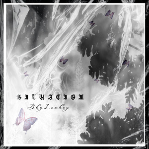 Situación (Oficial)