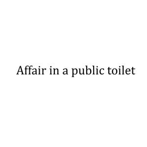 Affair in a public toilet