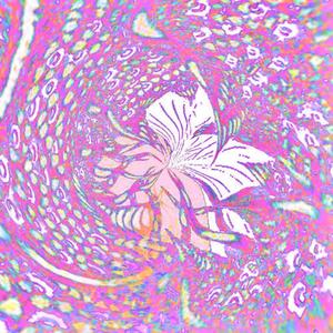 seance to the machines