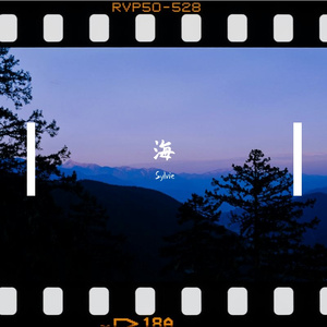 海