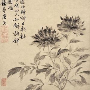 牡丹亭 好姐姐 （翻自 瑞鸣音乐）