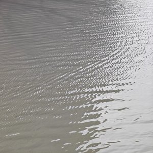 蝶恋花·花艳江云身乱絮.wav