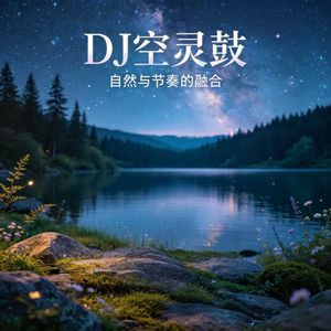 从开始到现在（DJ空灵鼓）
