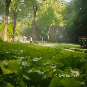 晨曦中的自我觉醒