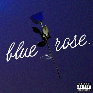 蓝玫瑰