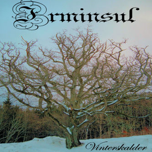 Vinterskald