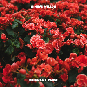 Pregnant Pause