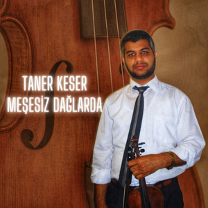 Meşesiz Dağlarda