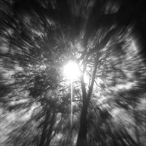 En los Confines del Universo