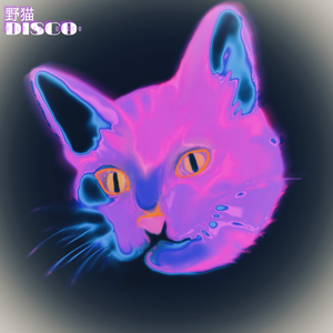 野猫DISCO（Cover）
