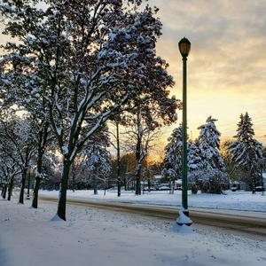 Sing All The Christmas Carols That You Know