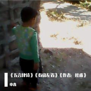 《五言律诗》《春宿左省》《作者：杜甫》